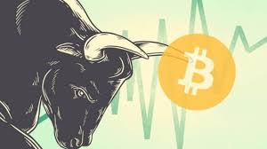 Cryptocurrency Bull Run