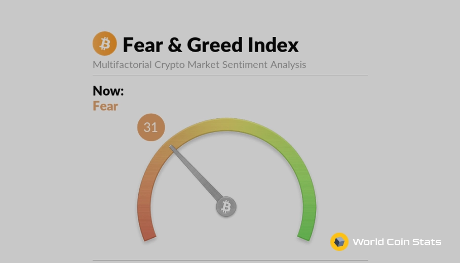 What Is The BTC Fear and Greed Index?