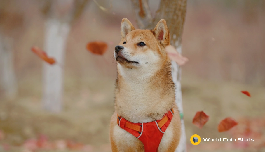 Is It Smart to Invest In Shiba Inu?