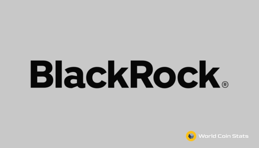 Blackrock Equity Index Fund, What to Know about?