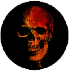 Skull (skull)