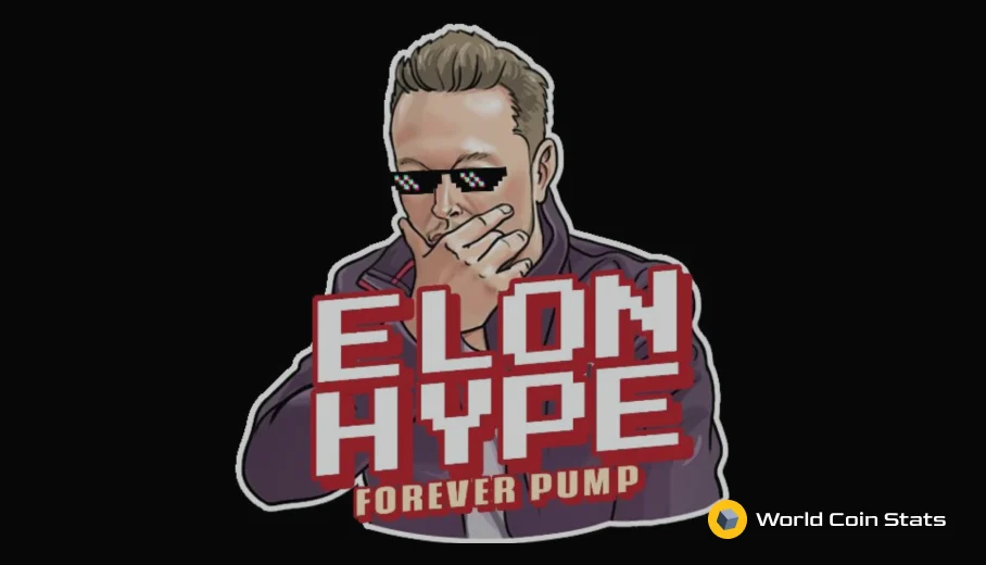 What is ElonHype (ELONHYPE)?