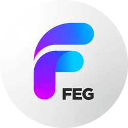 FEG BSC (OLD) (feg)