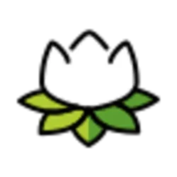 White Lotus (lotus)