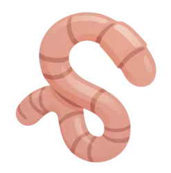 Chikn Worm (worm)