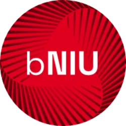 Backed NIU Technologies (bniu)