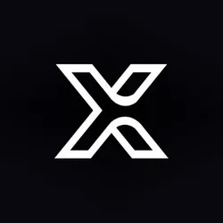 IC-X (icx)