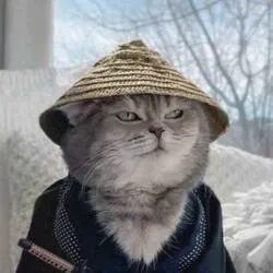 Samurai Cat (yuki)