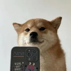 SelfieDogCoin (selfie)