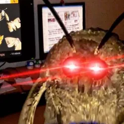 MOTH (møth)