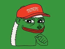 ZKPEPE (zkpepe)