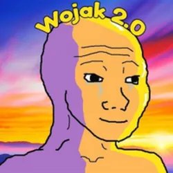 Wojak 2.0 Coin (wojak 2.0)