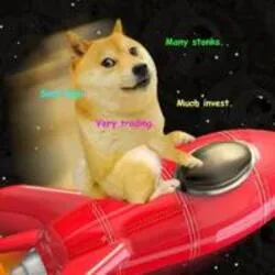 DOGE-1 (doge-1)