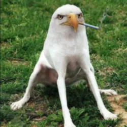 Smoking Eagle Dog (sed)