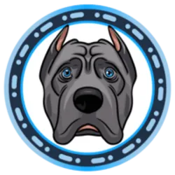 Cane Corso (corsi)