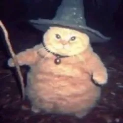 Wizard Cat (wizard)